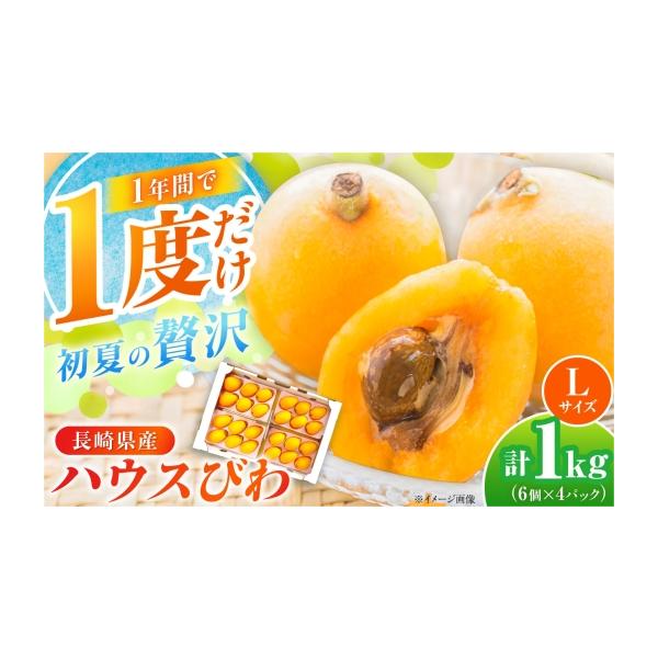 ふるさと納税 果物類 びわ 長崎県 - ハウスびわ1kg　Lサイズ24個（6個×4P） 2027年4月お届け 長崎県／やまぐち農園 42AACQ004 びわ ビワ 枇杷 果物 フルーツ …