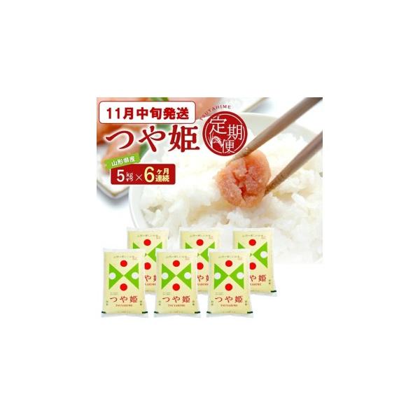 ふるさと納税 米 つや姫 山形県 酒田市 11月中旬発送開始／ 6回定期便 ［精米］特別栽培米 つや姫　5kg×6回(計30kg) JS　SG0188 令和8年11月中旬発送開始