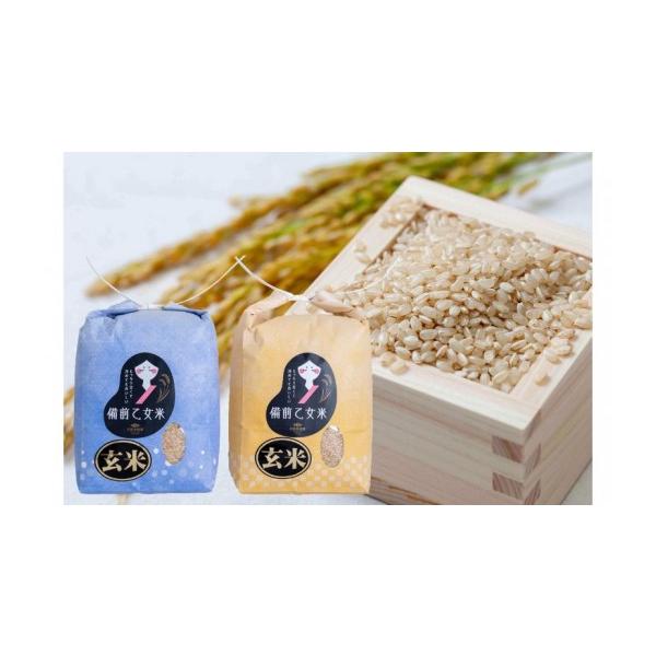 ふるさと納税 梨 岡山県 真庭市 令和8年産 新米 先行予約 備前乙女米 玄米2kg×2袋 岡山県産 | 米 お米 玄米 特A きぬむすめ 石原果樹園 ishk052-01