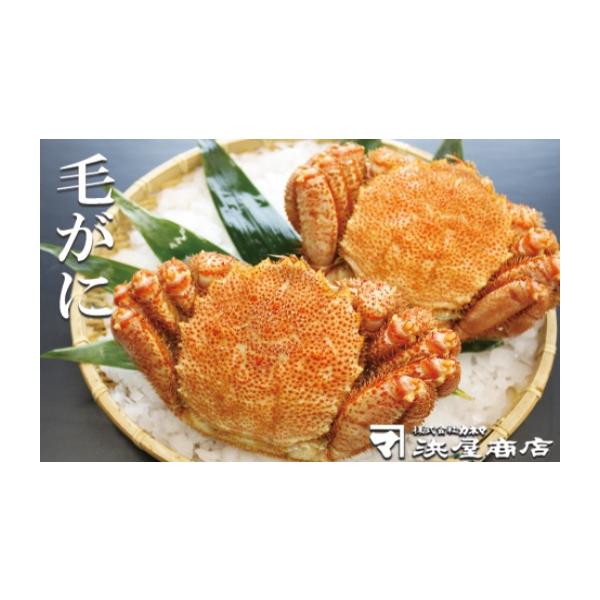 ふるさと納税 カニ 毛ガニ 北海道 根室市 A-32046 毛がに約500〜600g×2尾