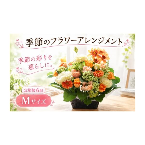 ふるさと納税 雑貨・日用品 花 茨城県 筑西市 フラワーアレンジメント Mサイズ 定期便6回 | 季節 色 おまかせ ギフト 季節のお花 アレンジメント 生花 母の日 …
