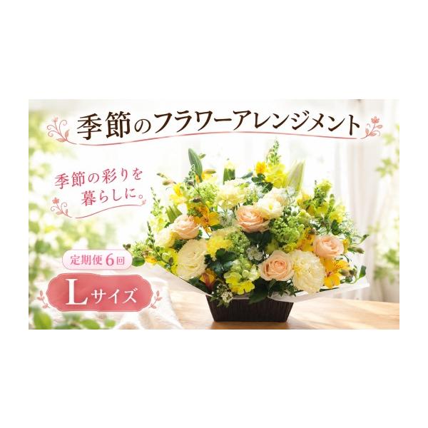 ふるさと納税 雑貨・日用品 花 茨城県 筑西市 フラワーアレンジメント Lサイズ 定期便6回 | 季節 色 おまかせ ギフト 季節のお花 アレンジメント 生花 母の日 …