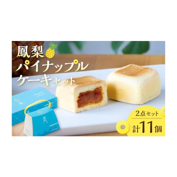 ふるさと納税 焼菓子・チョコレート 鳥取県 境港市 鳳梨パイナップル