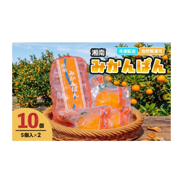 ふるさと納税 総菜パン・バーガー等 神奈川県 平塚市 冷凍パン 湘南