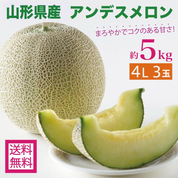 furusatofarm_kudamono-meron