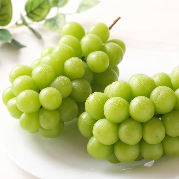 furusatofarm_muscat1