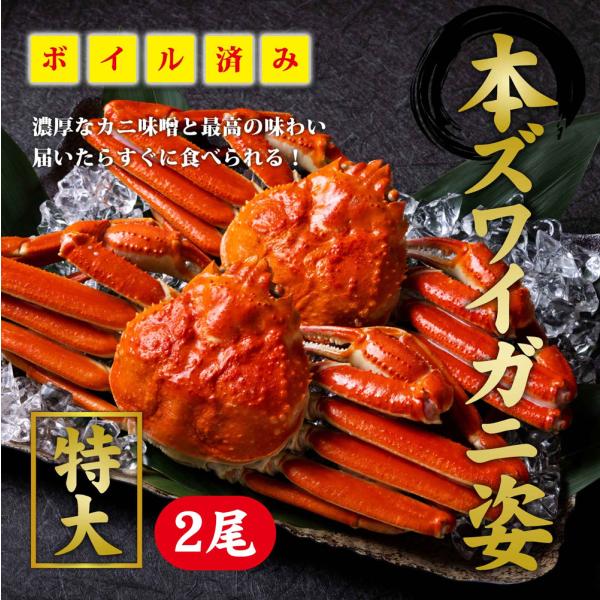 本ズワイガニ　姿　２尾（※同梱不可商品）本ずわい ズワイ 蟹 カニ むき身 ボイルかに ギフト 海鮮 内祝い お返し お中元 お歳暮 贈答