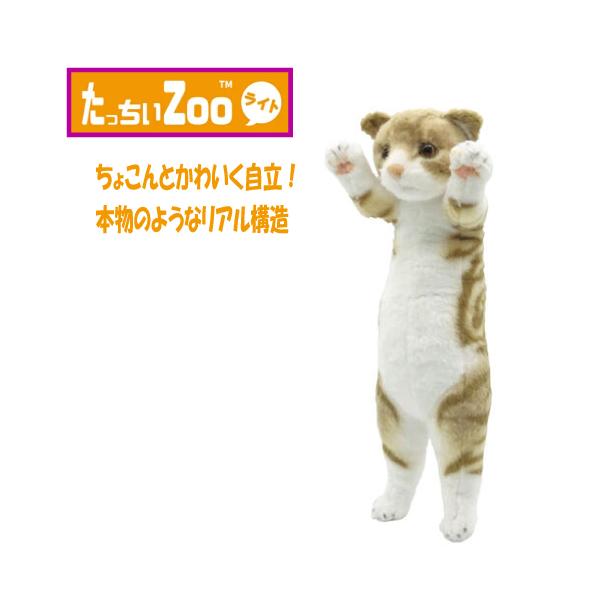 たっちぃZOO にゃんこ ライト スコティッシュフォールド ぬいぐるみ（ねこ ネコ プレゼント ギフト 贈り物 母の日 誕生日 新生活 就職 進級 進学 お祝い）