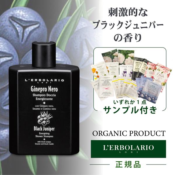 テオブロマ ショコラ　エピセ　オ　ポワーヴル　ノワール 50m新品 fushimidp_ginepronero-sw250