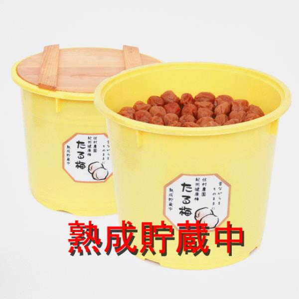 fushimura-shop_ta-10000