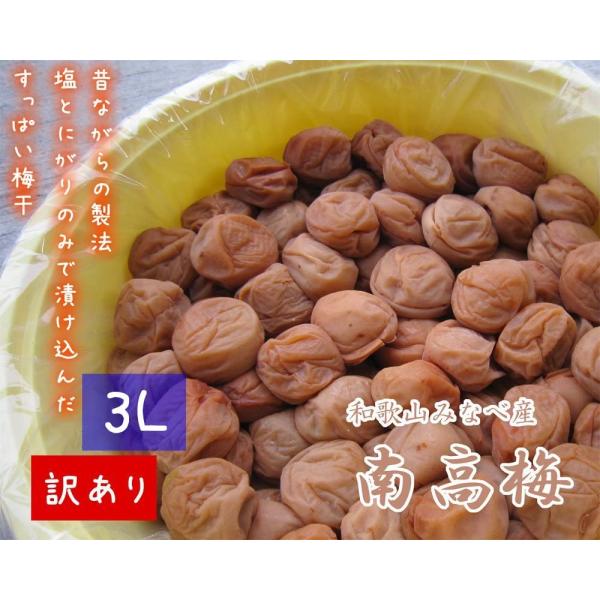 梅干し 南高梅 紀州健康梅 たる梅【訳あり】 [ちょい切れ つぶれ