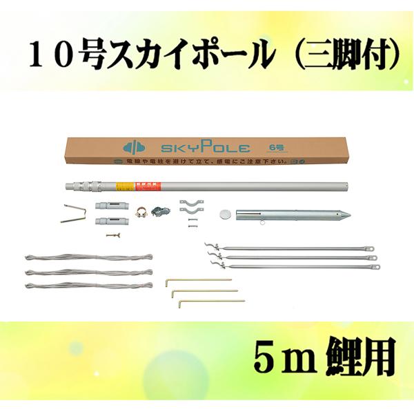 p|[e Tm̂ڂp|[FPOXJC|[iOrt9.31mU{pj