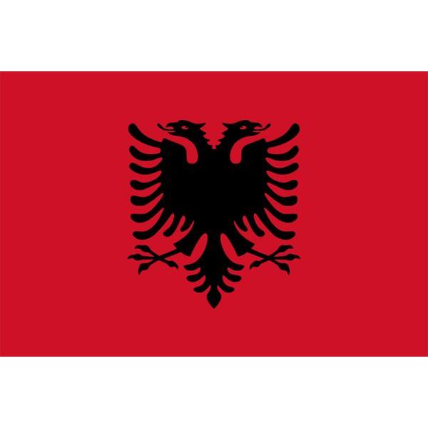 希少品！BIG アルバニア共和国国旗　東ヨーロッパ　ヴィンテージインダストリアル 外国旗】アルバニア国旗（テトロントロピカル） サイズ：50×75cm【領収