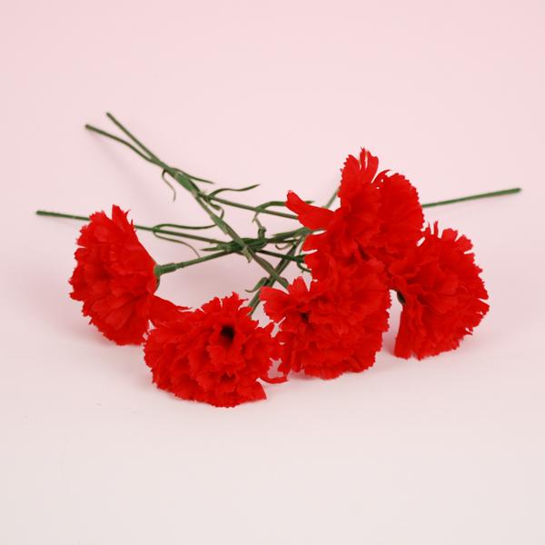 y̓̑ԁzJ[l[VsbNiԁj@̓@10{Zbgy̎sz