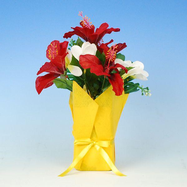 yĂ̑znCrXJXXNEFA|bgy̎sz