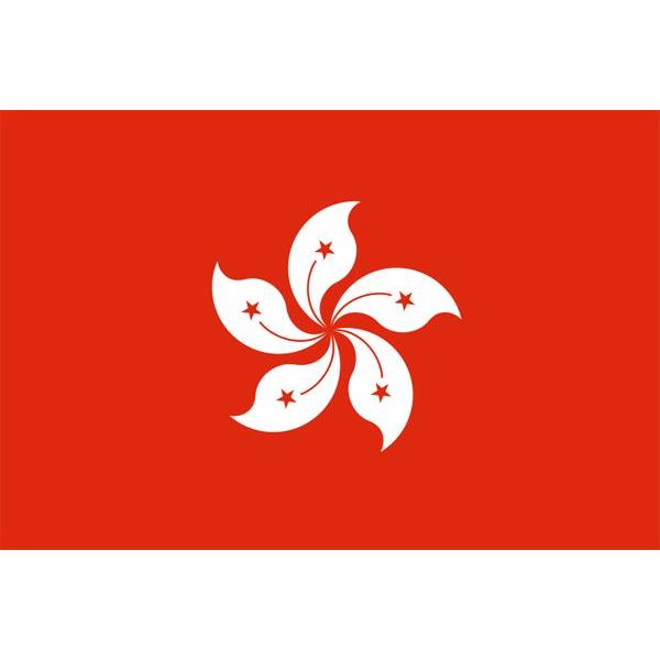 yOz`ieggsJj@TCYF50×75cmy̎sz