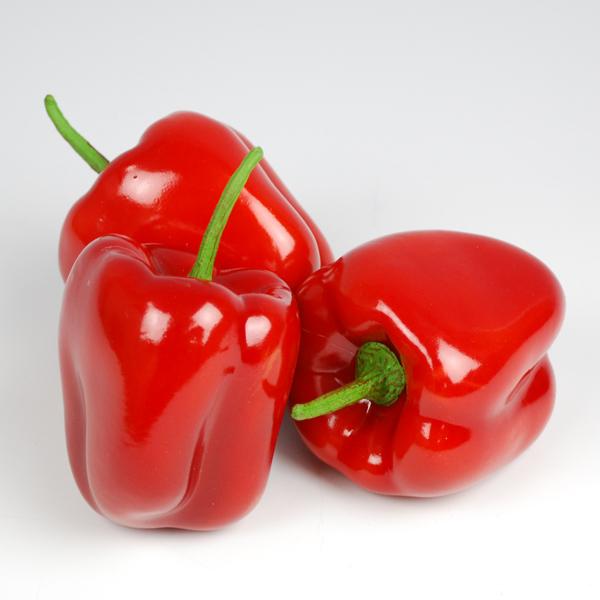 アートフード 赤パプリカ 店内装飾用野菜 領収書発行 Paprika フタバ装飾 通販 Yahoo ショッピング