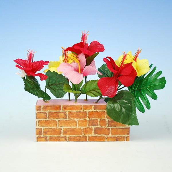 yĂ̑z~jK|bgnCrXJXy̎sz