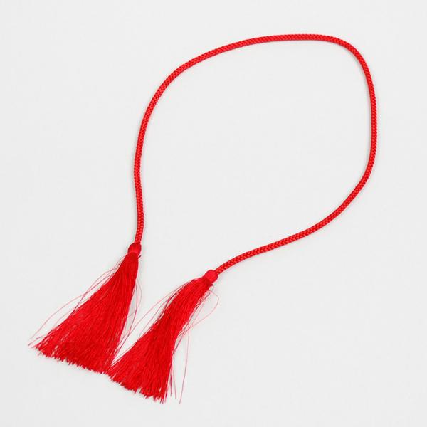 yՂpiz]ˑł[@ԁEGWy̎sz