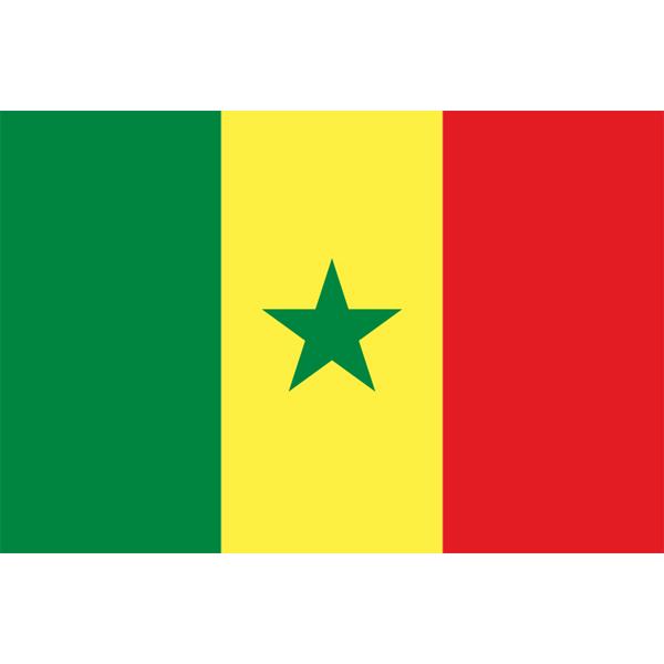 外国旗】セネガル共和国国旗（テトロントロピカル） サイズ：70×105cm