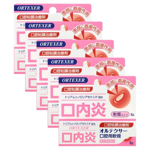 ［ネコポス］オルテクサー口腔用軟膏 5g×5個セット 【第(2)類医薬品】　※セルフメディケーション税制対象商品［ネコポス配送1］