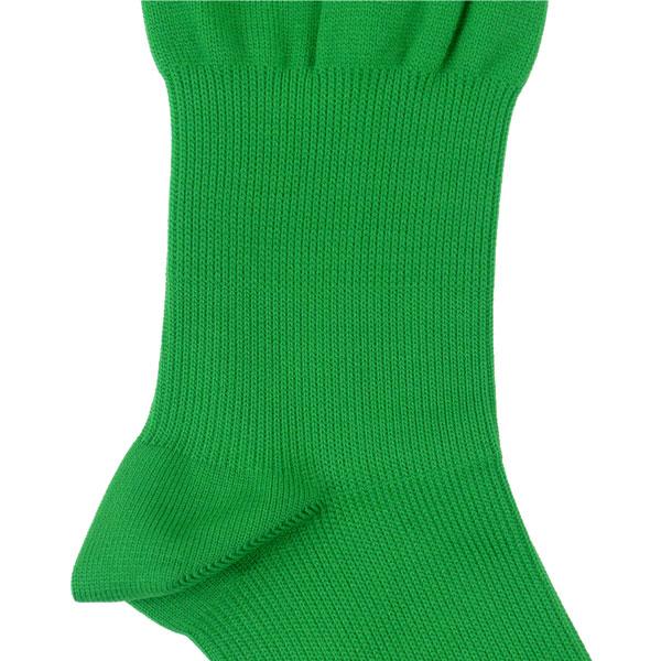 futaba_01080_3_d_20240410190746