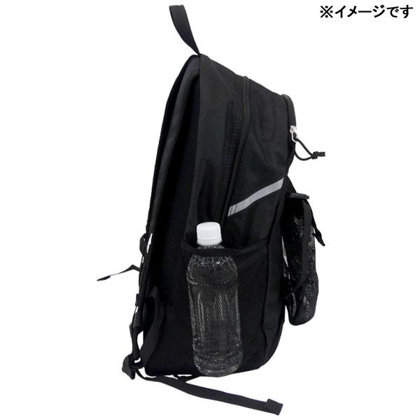 futaba_adp43_3_d_20250902232846