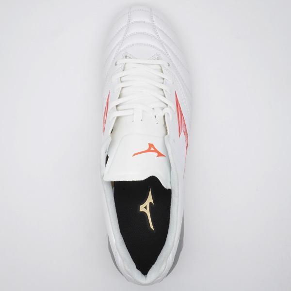 futaba_p1ga242060_3_d_20240229012247