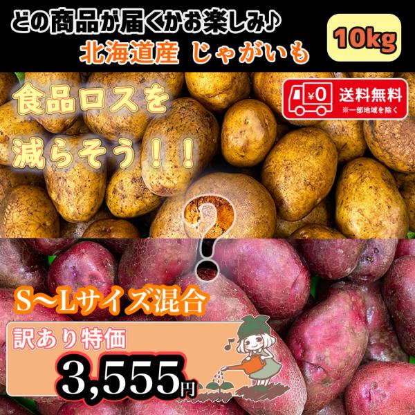 スタッフが厳選した数種類の北海道産のじゃがいもをお届け！日常で使いやすい定番品種からアンデスレッドやレッドムーン、インカのめざめなど希少な品種が入ることも？この機会にぜひお楽しみください♪〜訳あり(食品ロス)商品〜味は変わらないのにサイズ、...