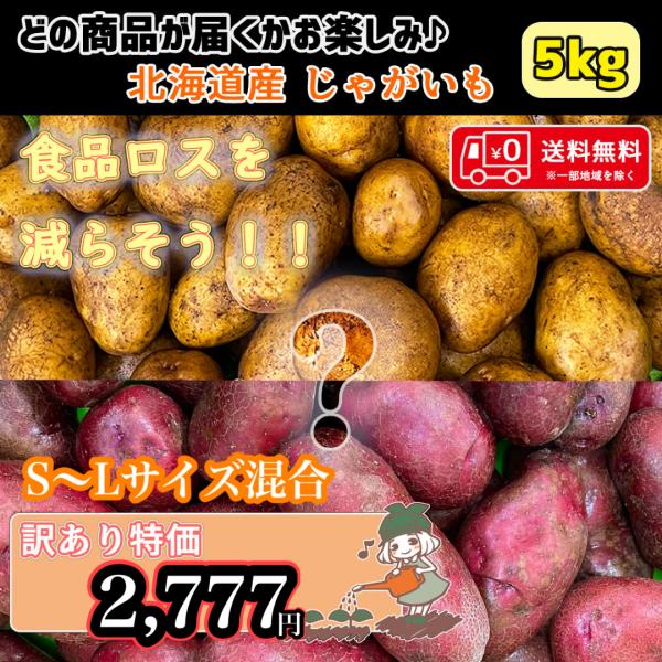 スタッフが厳選した数種類の北海道産のじゃがいもをお届け！日常で使いやすい定番品種からアンデスレッドやレッドムーン、インカのめざめなど希少な品種が入ることも？この機会にぜひお楽しみください♪〜訳あり(食品ロス)商品〜味は変わらないのにサイズ、...