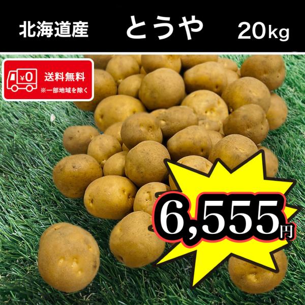 送料無料 北海道産 とうや 20kg Mサイズ じゃがいも 馬鈴薯 お得な大
