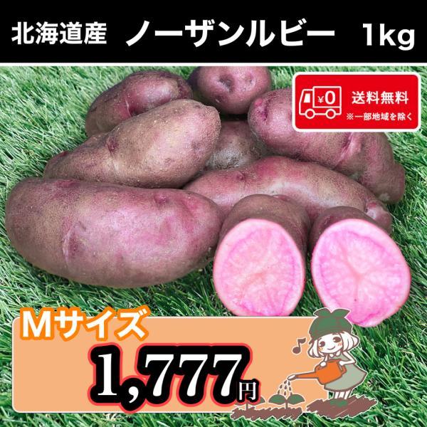 皮は赤紫色、果肉はキレイなピンク色が特徴的です。少し粘り気のあるやわらかい食感で、加熱しても色がぬけにくく鮮やかなピンク色は残ったままです。普段の料理やお弁当の彩りおかずとしても活躍すること間違いなし！●商品名:ノーザンルビー●産地 :北海...