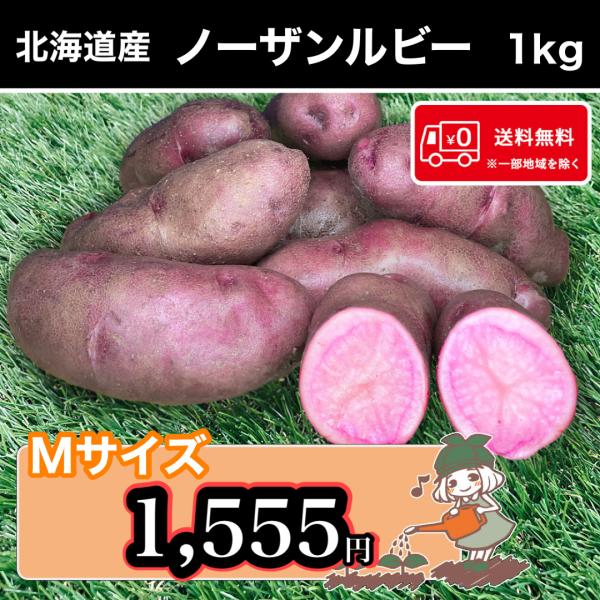 皮は赤紫色、果肉はキレイなピンク色が特徴的です。少し粘り気のあるやわらかい食感で、加熱しても色がぬけにくく鮮やかなピンク色は残ったままです。普段の料理やお弁当の彩りおかずとしても活躍すること間違いなし！●商品名:ノーザンルビー●産地 :北海...