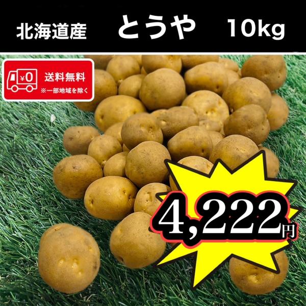 北海道の洞爺湖にちなんだ名前が付けられている”とうや”芽は浅く少ないため、皮がむきやすく扱いやすいといわれるのがこの品種。見た目は丸型で食感はなめらか。煮崩れが少ないのでクラムチャウダー、ポトフなどの煮込み料理にむいています。またシャキシャ...