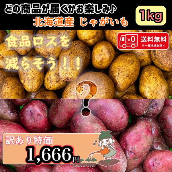スタッフが厳選した数種類の北海道産のじゃがいもをお届け！日常で使いやすい定番品種からアンデスレッドやレッドムーン、インカのめざめなど希少な品種が入ることも？この機会にぜひお楽しみください♪〜訳あり(食品ロス)商品〜味は変わらないのにサイズ、...