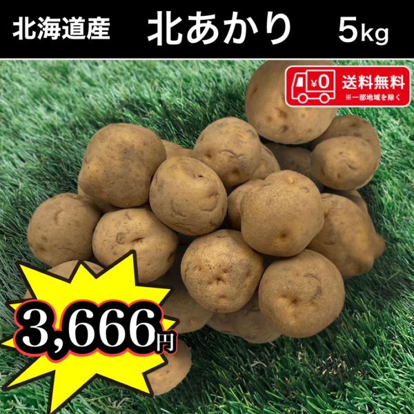 果肉が濃い黄色であることから別名「黄金男爵」、「栗じゃが」とも呼び名がある”キタアカリ”男爵系なのでホクホク感があり男爵いもよりも糖度が高いので甘みが強く、ビタミンCを多く含むといわれています。火の通りが早く味がしみやすい美点はありますが、...