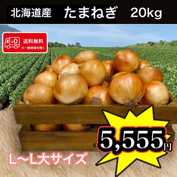 日本一の生産量を誇る北海道の玉ねぎ。北海道産のたまねぎは球がしっかりとしまっている、加熱することで一層甘みが増すというのが特徴です。栄養素も豊富な野菜なので健康にも美容にもいいといわれています！様々な料理に大活躍のたまねぎ、この機会に召し上...