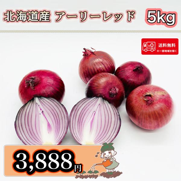 送料無料 北海道 岩見沢産 アーリーレッド Mサイズ以上 5kg 赤たまねぎ