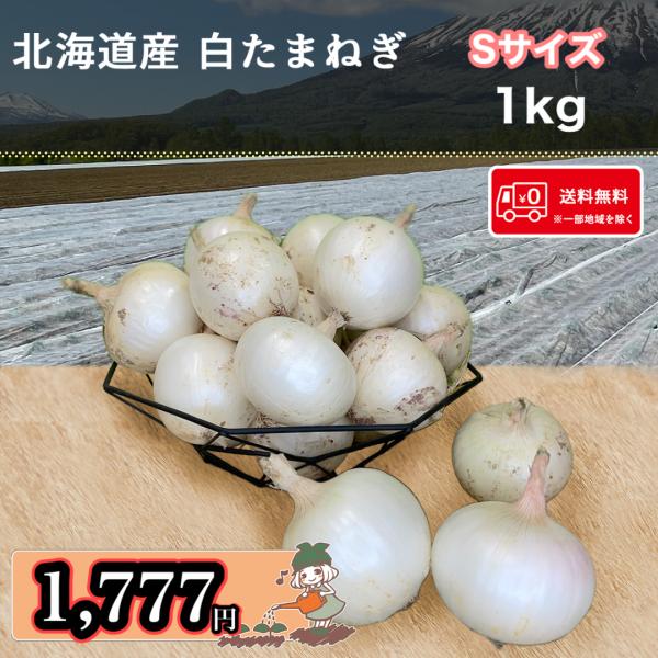 futabaya12_y-t-19
