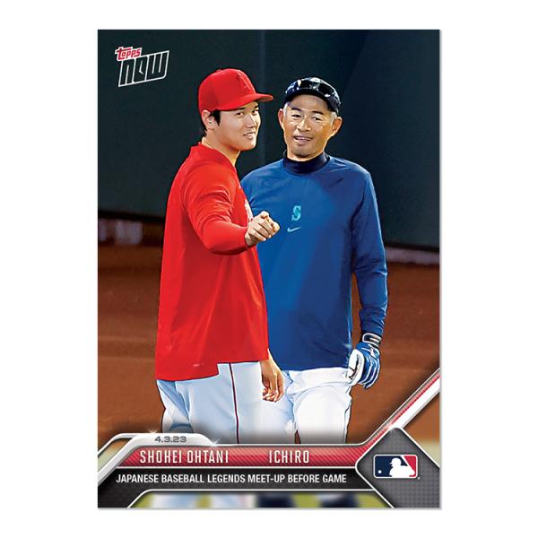 futoinu-shokai_tpps-23tn-0045