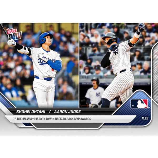 futoinu-shokai_tpps-25tn-os09