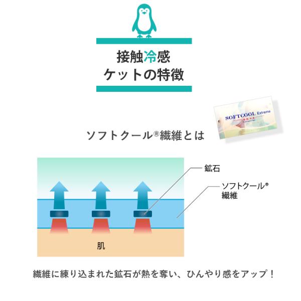 タオルケット 接触冷感 ジャガード織 クールケット シングル モンステラ 英語 肌掛け布団 肌布団 Buyee Buyee 提供一站式最全面最專業現地yahoo Japan拍賣代bid代拍代購服務 Bot Online