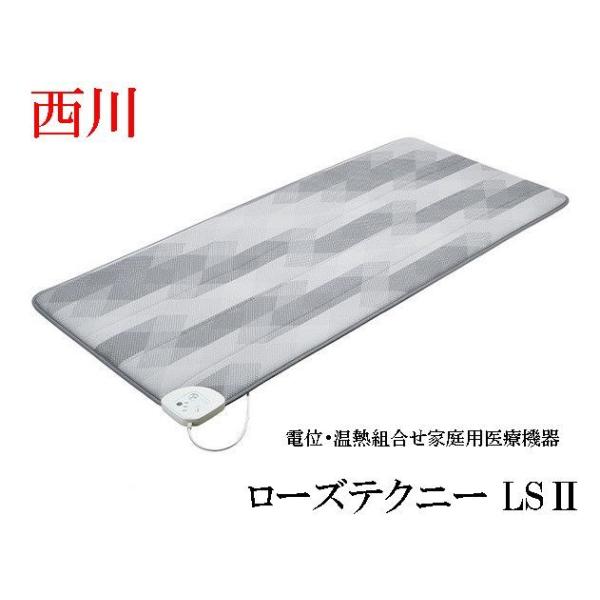 西川（nishikawa） 【専用カバーと除湿シートプレゼント