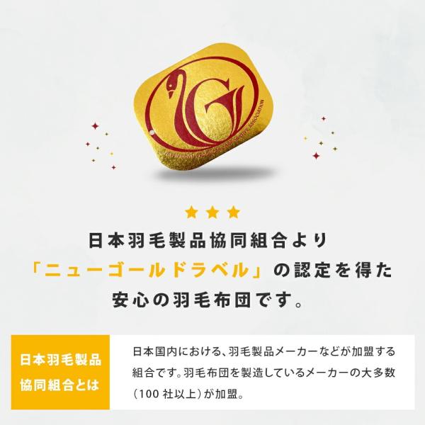 futon_3sa-313_5_d_20251108172123