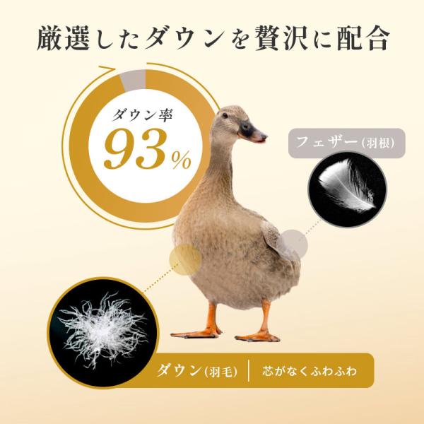 futon_3sa-ka02003059_3_d_20231106150734