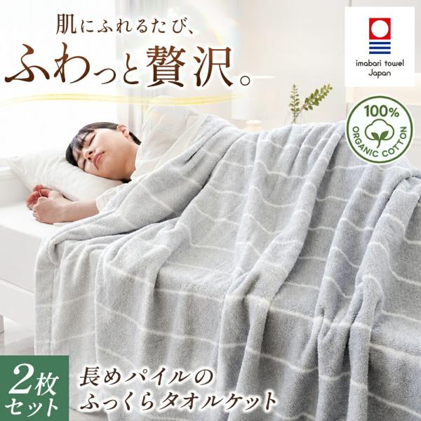 今治タオル（imabari towel） タオルケット 今治 シングル 2枚セット
