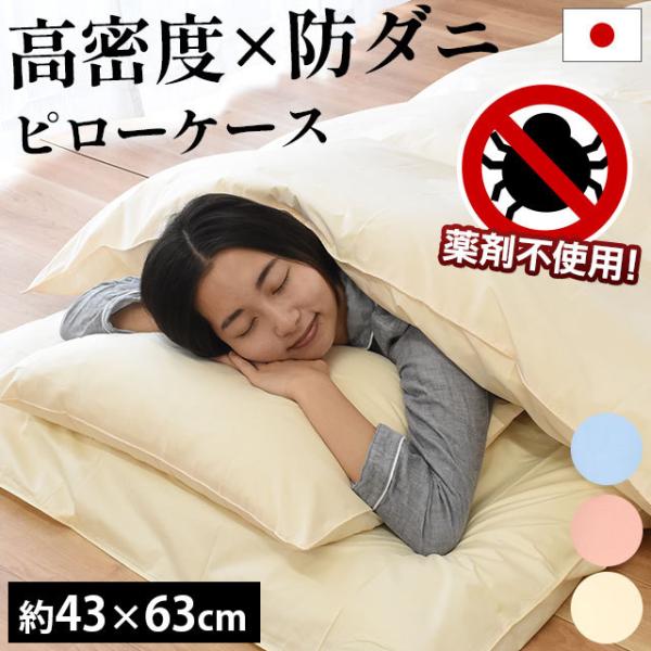 Jo[ 43×63cm x h_j { AM[΍ s[P[X