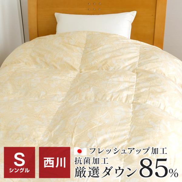 西川 羽毛合掛け布団  ダックダウン85％ 1.0kg入 シングル