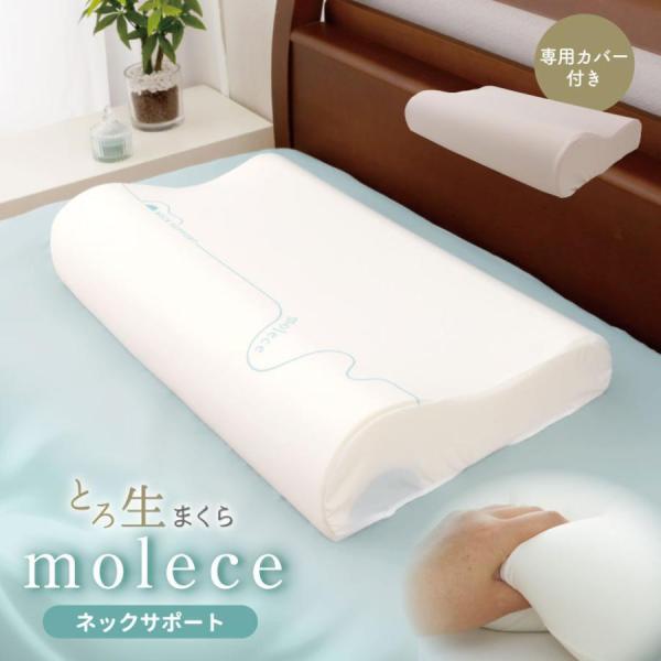 ファベ社ウェッジサポート枕 逆流性食道炎対策 ウェッジサポート枕