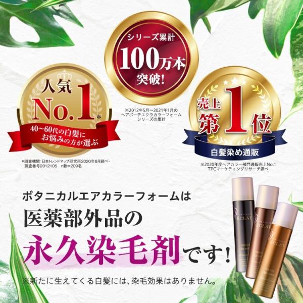 ヘアボーテエクラ ボタニカル エアカラーフォーム ライトブラウン 150g